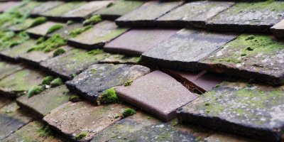 Hockwell Ring roof repair costs